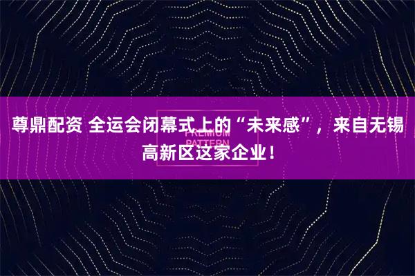 尊鼎配资 全运会闭幕式上的“未来感”，来自无锡高新区这家企业！