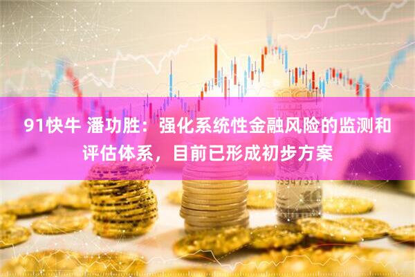 91快牛 潘功胜：强化系统性金融风险的监测和评估体系，目前已形成初步方案